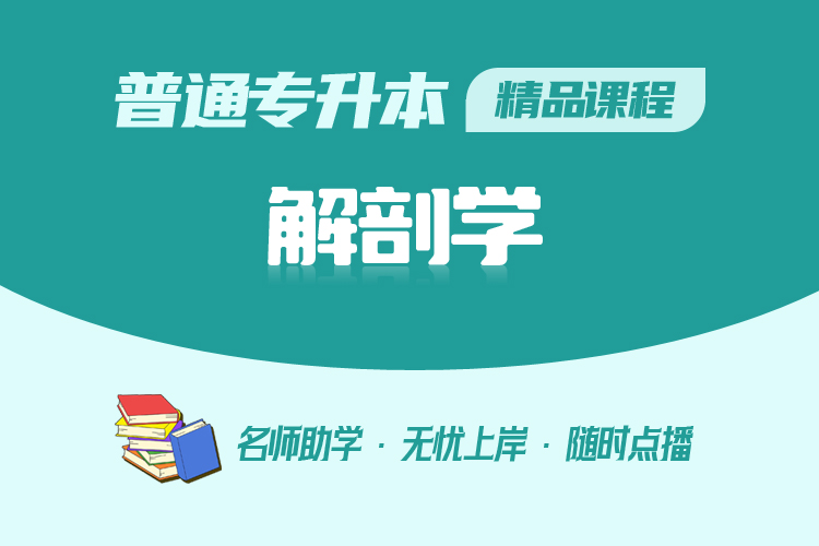 普通專升本精品課程-解剖學